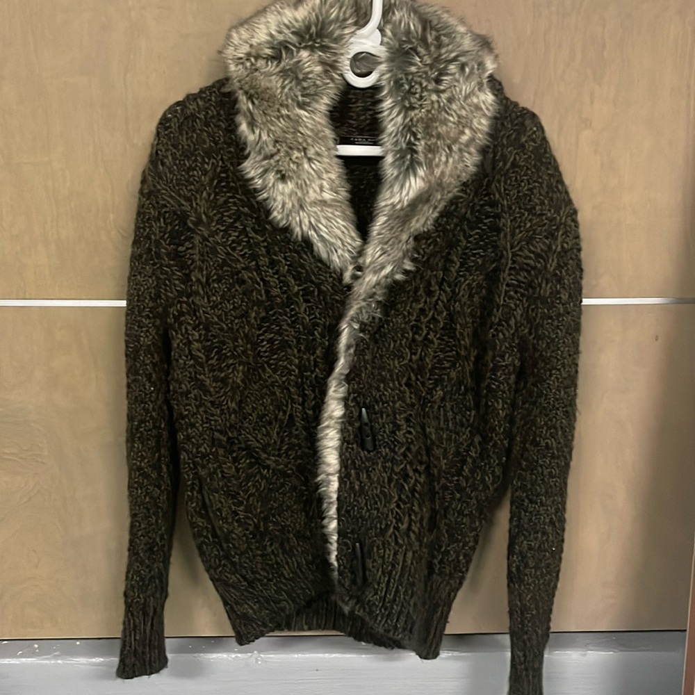 Zara Fur Coat